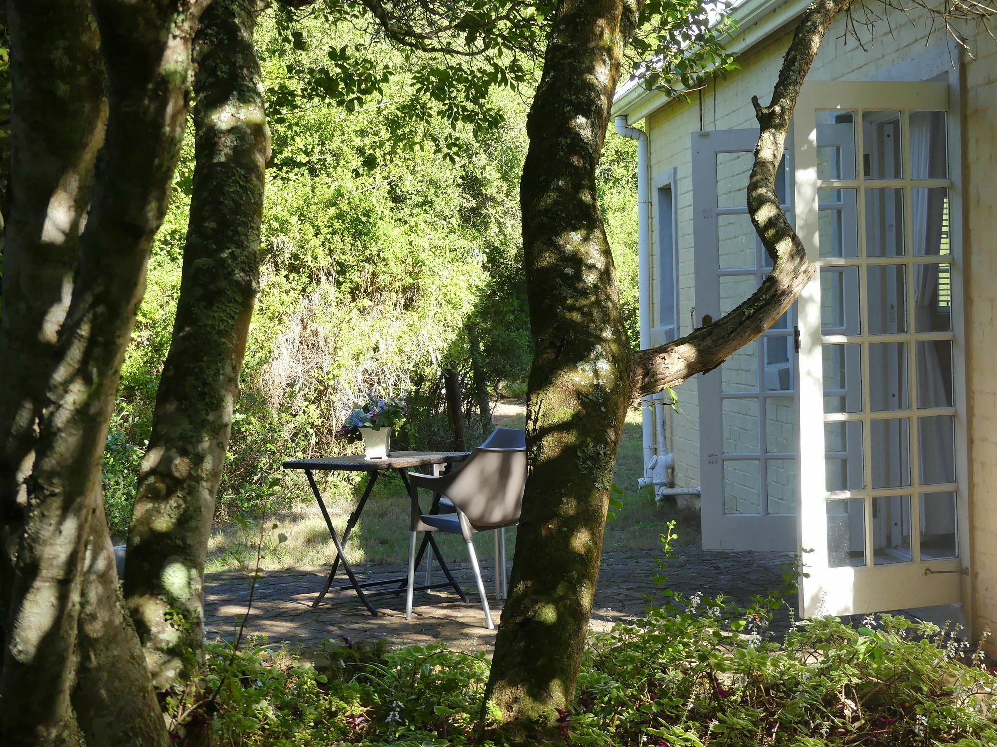 Bed and Breakfast The Plantation Puerto Elizabeth Exterior foto